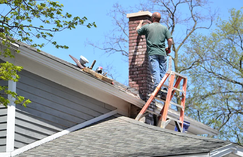 Chimney & Fireplace Inspections Services in West Falls Church, VA